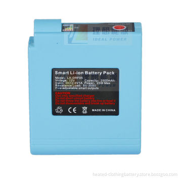 12v 2600mah Led Heating Pad Battery , Custom Li-ion Battery Packs